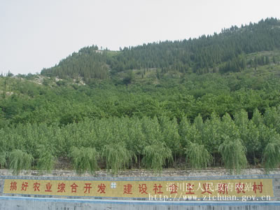 延坪镇人口_鹤庆黄坪镇人口(3)