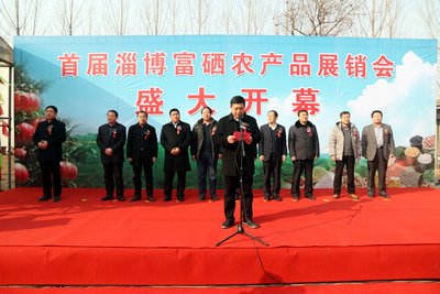 省富硒健康产业专业委员会主任杨峰,区领导王龙辉出席开幕式