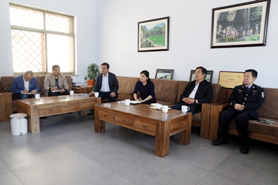 淄川区人民政府详细信息页