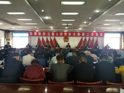 双杨镇人口_双杨镇金马村村委照片