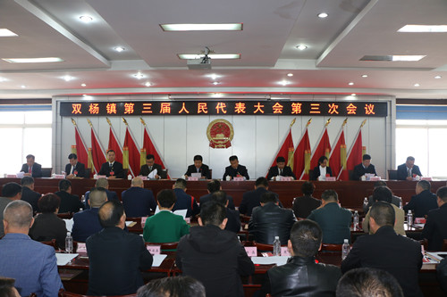 双杨镇人口_双杨镇金马村村委照片