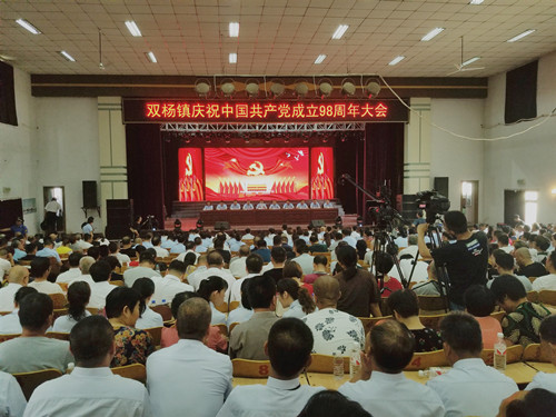 双杨镇人口_双杨镇金马村村委照片