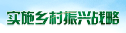 实施乡村振兴战略